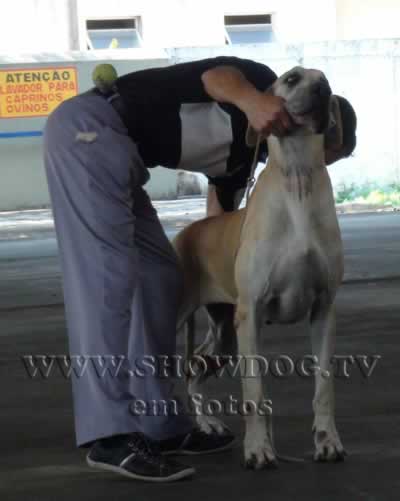 Clique sobre a foto para fechar